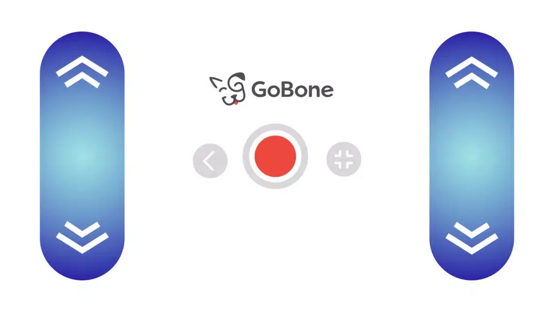 صور GoBone: All-day play for you and your dog