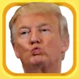 Pummel A Politician Pummel A Politician