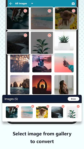 Image Converter - JPG/PNG/PDF應用截圖
