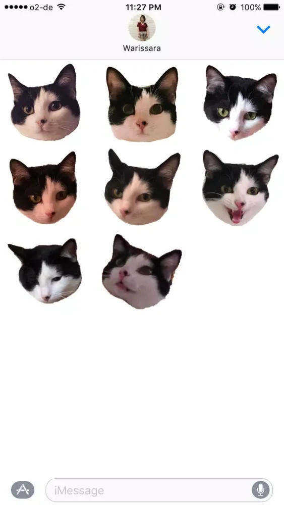 Скриншоты Muffin the cat