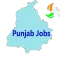 Punjab Jobs