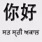 Punjabi Chinese