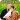 Write Punjabi Text On Photo