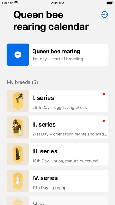 Captures d'écran de Queen calendar
