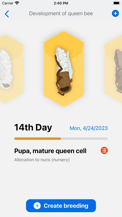 Captures d'écran de Queen calendar