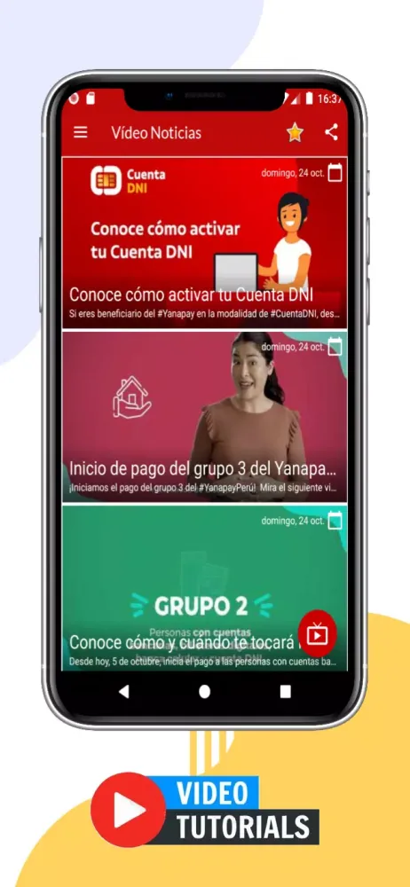 Consulta Peru স্ক্রিনশট