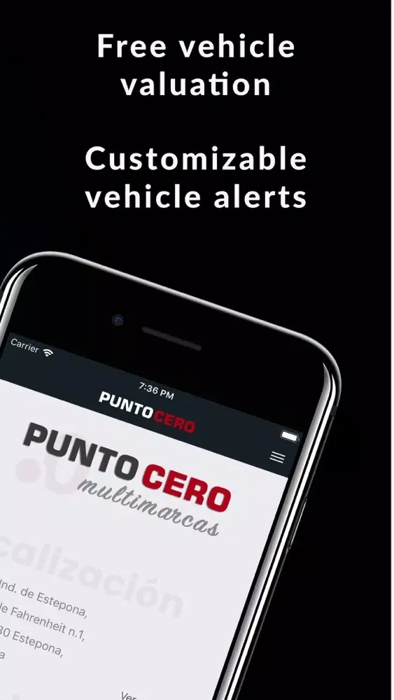 Zrzuty ekranu Punto Cero Cars