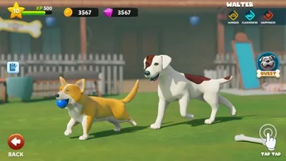 صور My Dog Life: Puppy Island Park