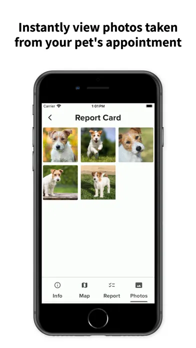 Pups and Recreation স্ক্রিনশট