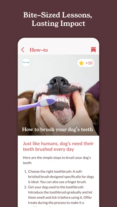 PupWise: Beyond Dog Training स्क्रीनशॉट