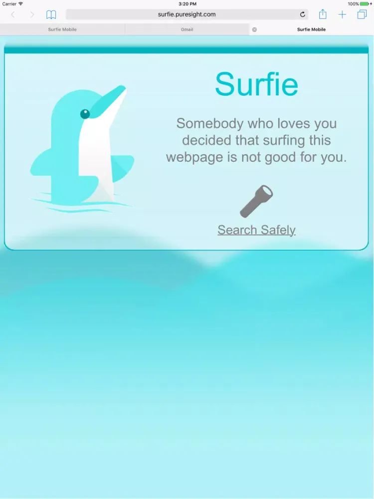 Captures d'écran de Surfie Kids for Total Wireless iPad 