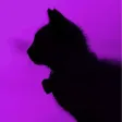 Purple aesthetic wallpapers 4k
