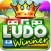 Ludo Game : Ludo Winner