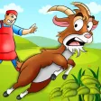 Run Goat Run Run Goat Run