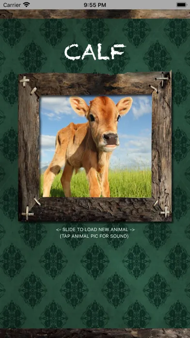 Ảnh chụp màn hình của Farm Animals Name and Sound