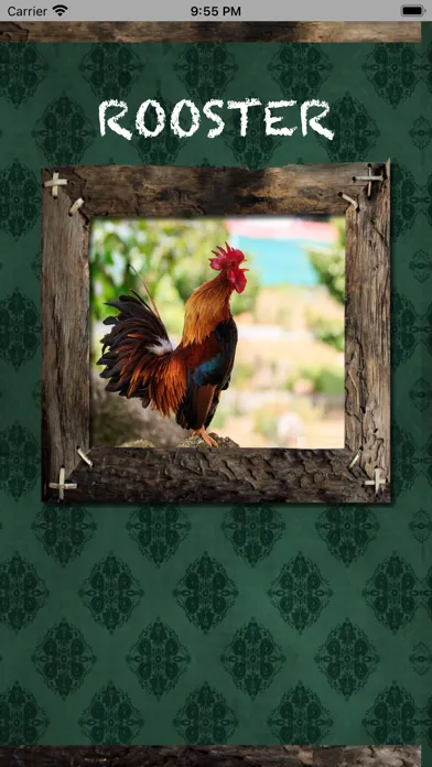 Ảnh chụp màn hình của Farm Animals Name and Sound