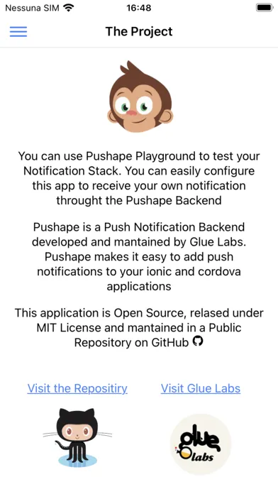 Tangkapan layar Pushape Tester Playground