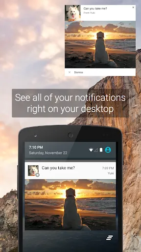 Capturas de pantalla de Pushbullet: SMS on PC and more