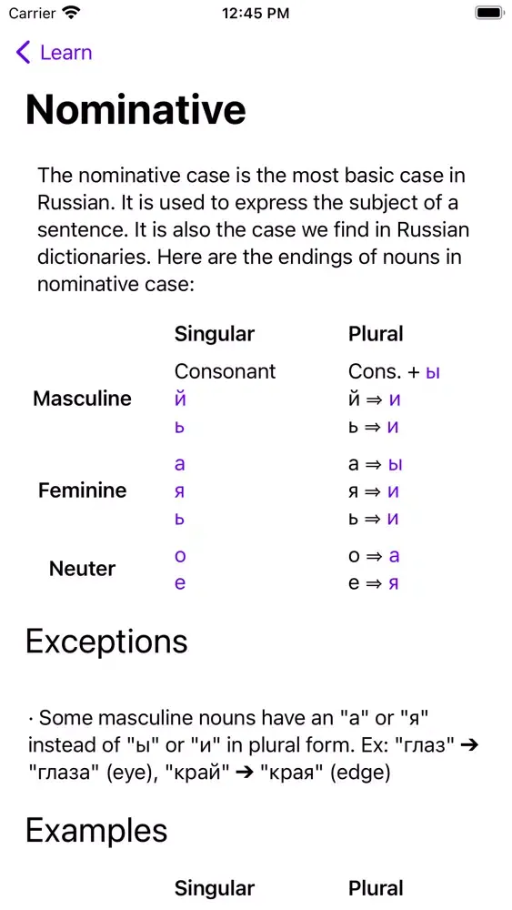 Tangkapan layar Learn Russian Grammar