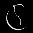 Black Cat Martial Arts