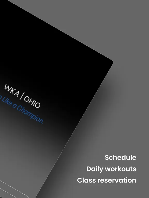 Captures d'écran de World Kickboxing Academy iPad 