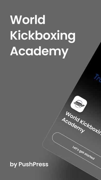 Captures d'écran de World Kickboxing Academy