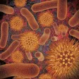 Infectious Disease Compendium Infectious Disease Compendium