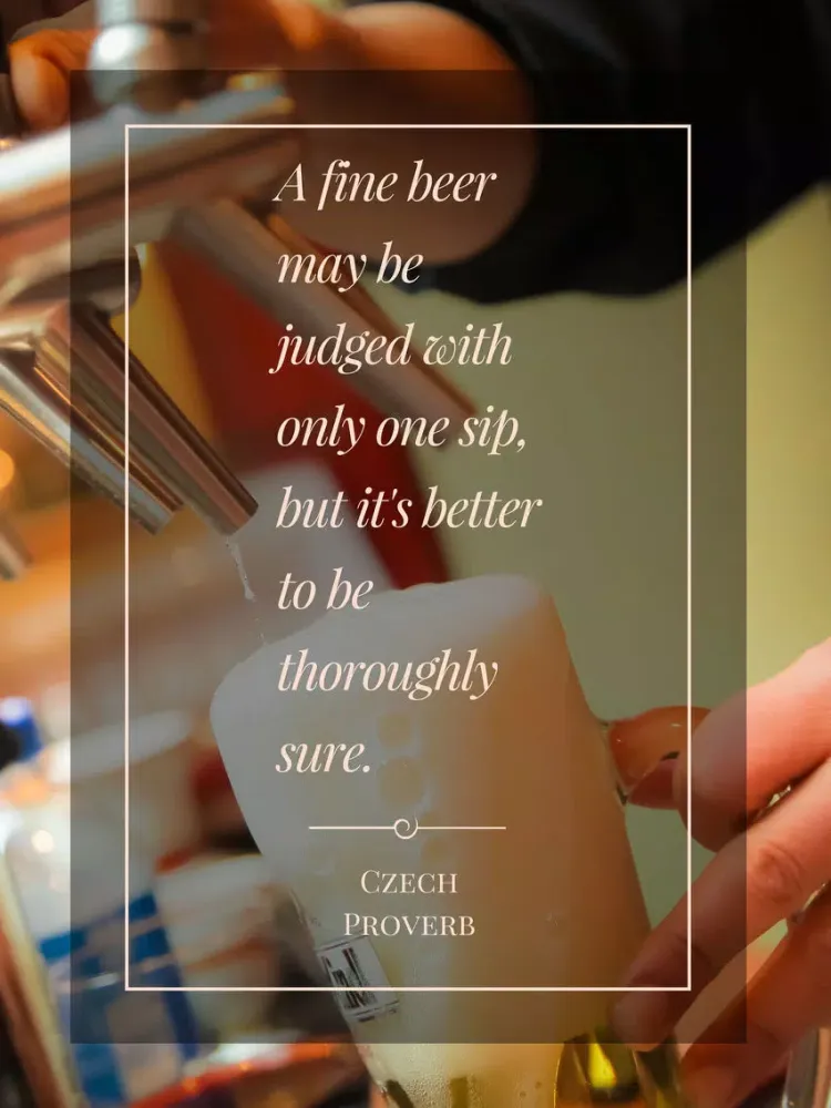 Capturas de pantalla de Beer Tasting - Craft Brew and Brewery Guide iPad 