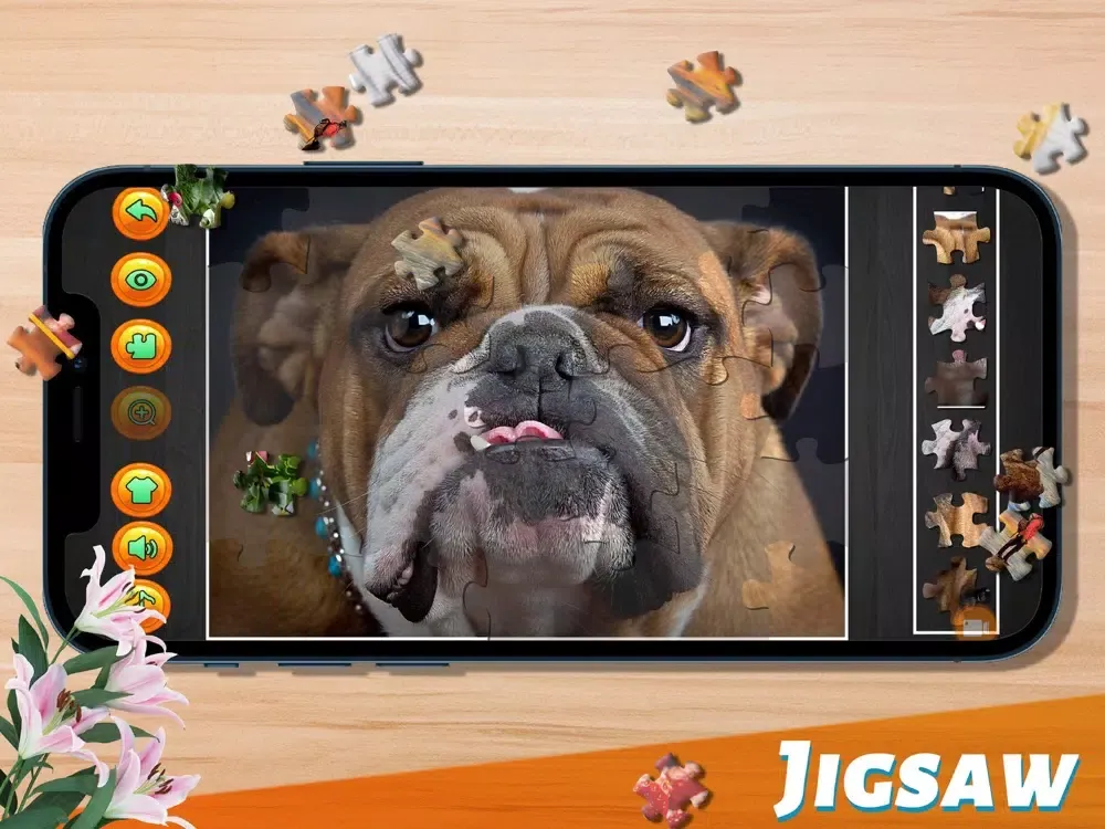 Jigsaw Puzzles Classic Game iPad  स्क्रीनशॉट