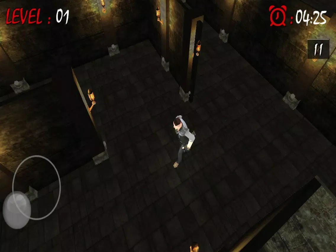 Maze Runner:3D Escape Plan iPad  سکرین شاٹس
