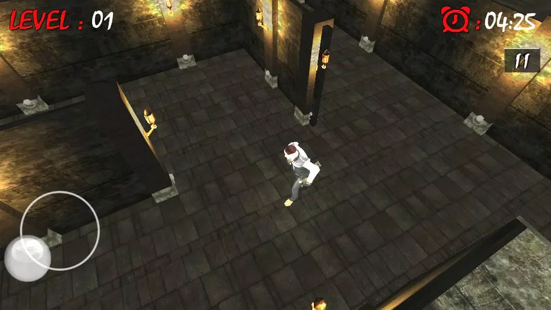Maze Runner:3D Escape Plan سکرین شاٹس