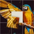 Jigsaw Sort:Jigsaw puzzle game Jigsaw Sort:Jigsaw puzzle game