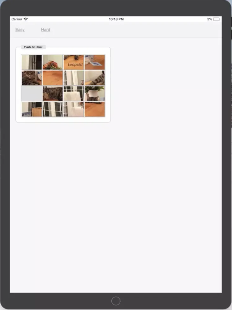 Leopold iPad 应用截图