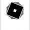 RBX Puzzle for robux Spin