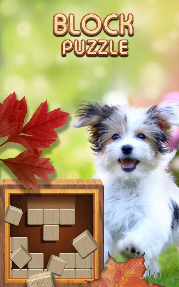 Zrzuty ekranu Classic Block Puzzle Wood 1010