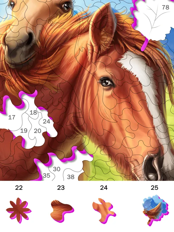 تصاویر Tap Color Jigsaw iPad 
