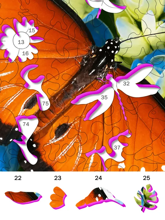 تصاویر Tap Color Jigsaw iPad 