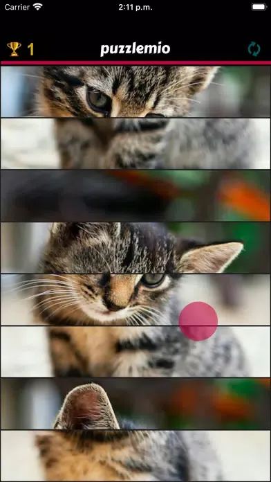 Puzzlemio Screenshots