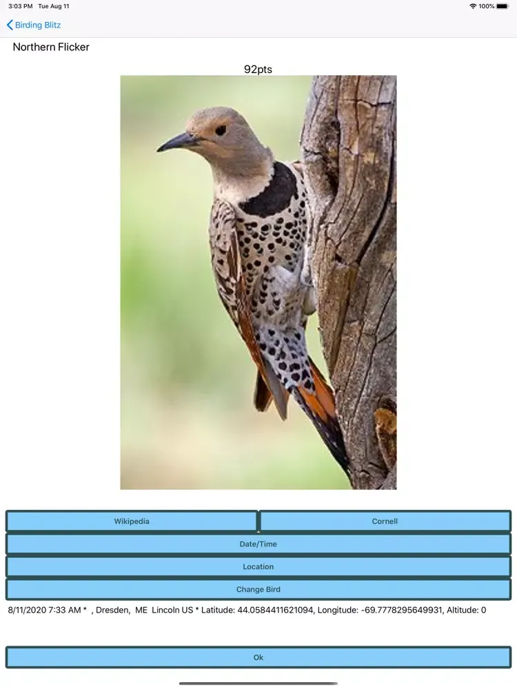 Скриншоты Birding Blitz iPad 