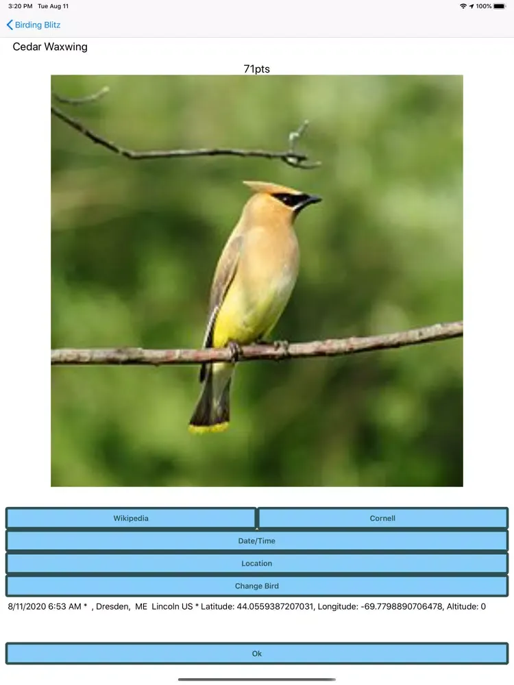 Скриншоты Birding Blitz iPad 