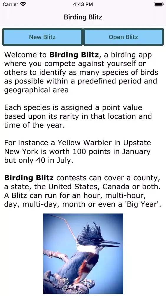 Скриншоты Birding Blitz