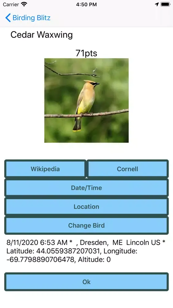 Скриншоты Birding Blitz