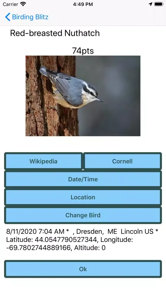 Скриншоты Birding Blitz