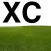 XC Scoring