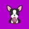 Black Boston Terrier Emoji