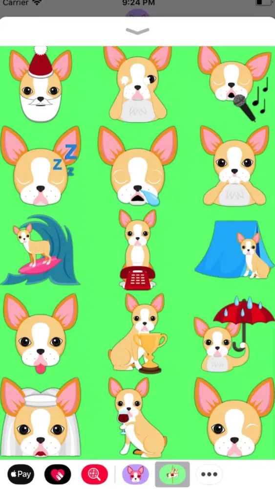 Скриншоты Blonde Boston Terrier