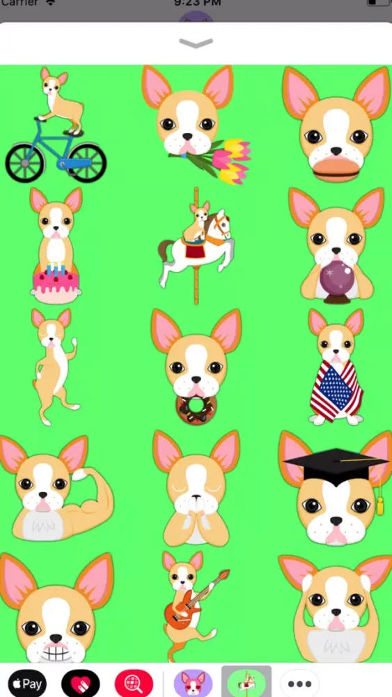 Скриншоты Blonde Boston Terrier
