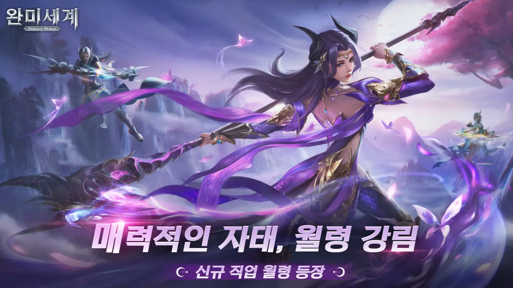 صور 완미세계