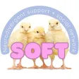 The Soft App
