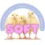 The Soft App